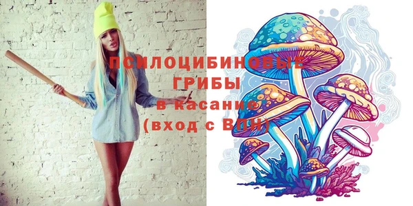 spice Верхний Тагил