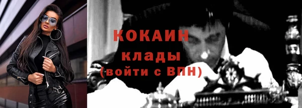 сатива Верея