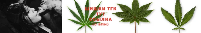 сатива Верея