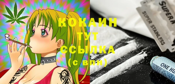spice Верхний Тагил