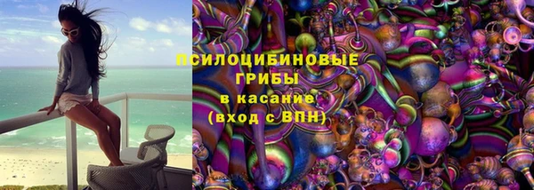 сатива Верея