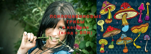 сатива Верея