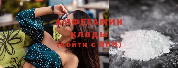 сатива Верея
