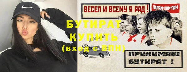 сатива Верея